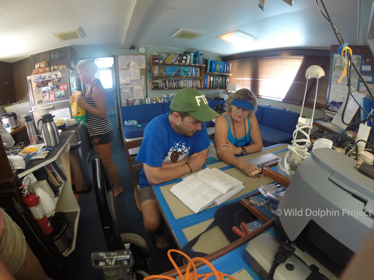 Dr. Denise Herzing and colleagues at The Wild Dolphin Project at the research desk.